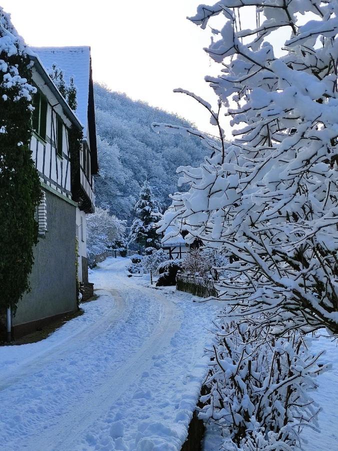 Ferienwohnung 'Unter Der Burg' Brodenbach Zewnętrze zdjęcie
