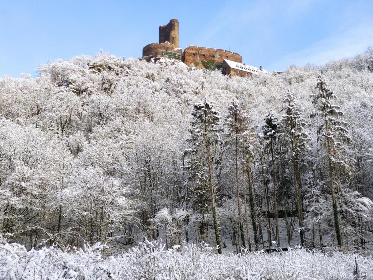 Ferienwohnung 'Unter Der Burg' Brodenbach Zewnętrze zdjęcie